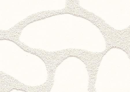 Фото – обои Rasch Wallton 2021 126129 || Rasch Wallton 2021 126129