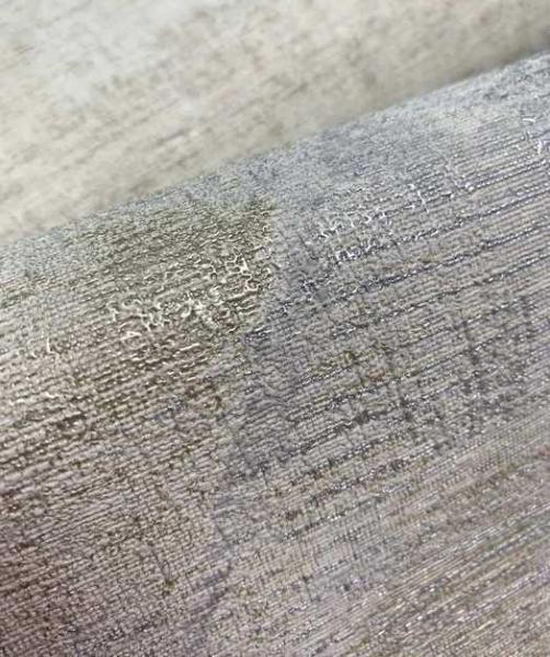 Фото Rasch Axiom 959802