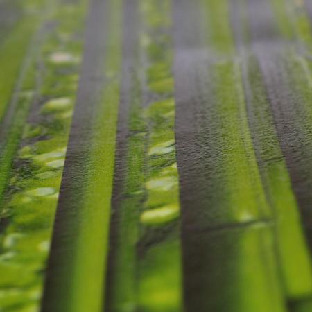 Фото – обои A.S.Creation Simply Decor 95936-1 || A.S.Creation Simply Decor 95936-1