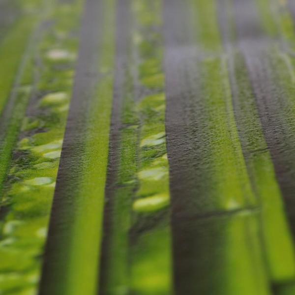 Фото A.S.Creation Simply Decor 95936-1