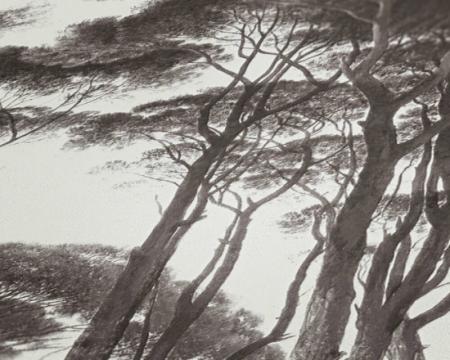 Фото – обои A.S.Creation History of Art 37651-1 || A.S.Creation History of Art 37651-1