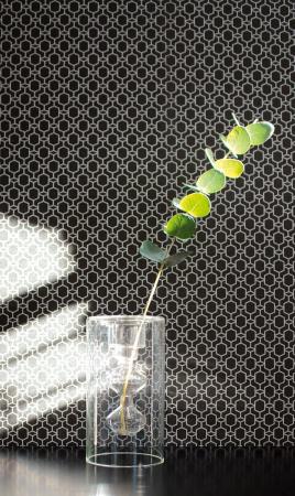 Фото – обои A.S.Creation Emotion Graphic 36883-1 || A.S.Creation Emotion Graphic 36883-1