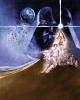 Komar 008-DVD2 (Star Wars Poster Classic 2)