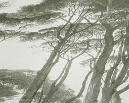 Фото – обои A.S.Creation History of Art 37651-2 || A.S.Creation History of Art 37651-2