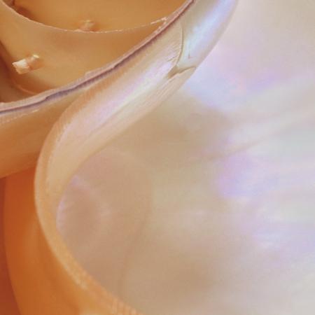 Komar 1-601 (Nautilus)