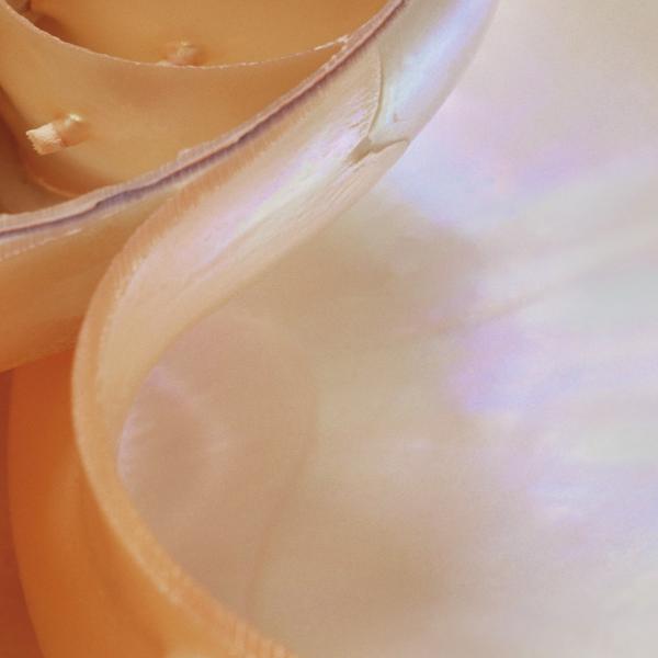 Komar 1-601 (Nautilus)