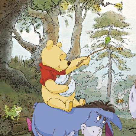 Komar 4-413 (Pooh's House)