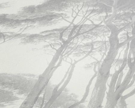 A.S.Creation History of Art 37651-3