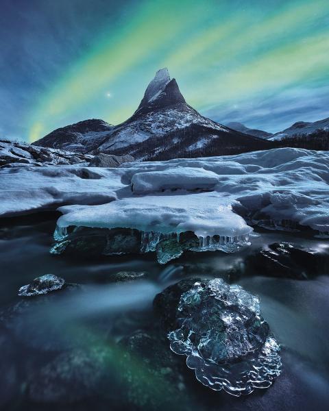 Komar SH026-VD2 (The Coronation)