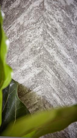 Фото – обои Rasch Linares 617528 || Rasch Linares 617528