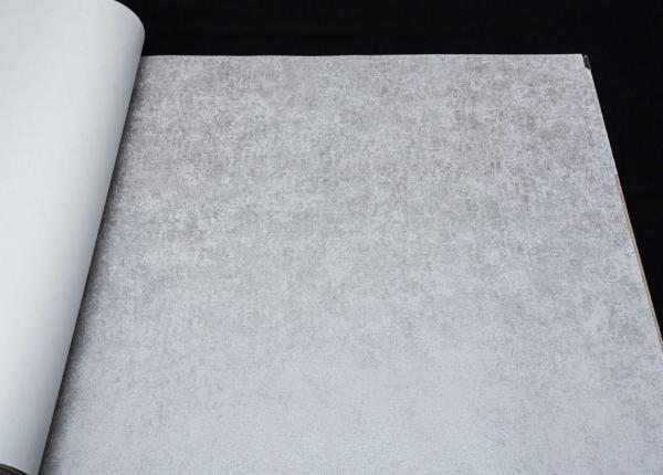 Фото Marburg Padua 57323