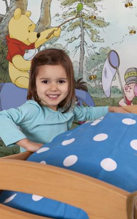 Komar 4-413 (Pooh's House)