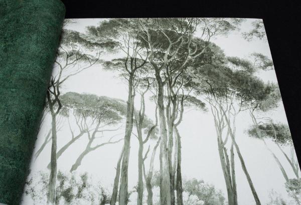 Фото A.S.Creation History of Art 37651-2