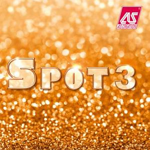 Spot 3 2018