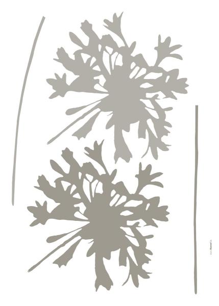 Komar 19706h (Silhouette)