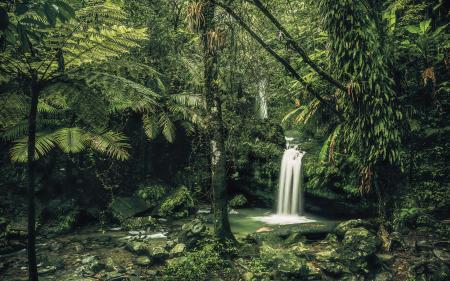 Komar SH008-VD4 (My Hidden Treasure)