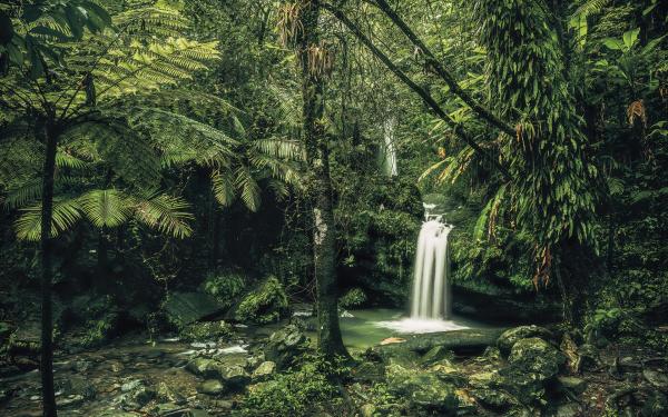 Komar SH008-VD4 (My Hidden Treasure)