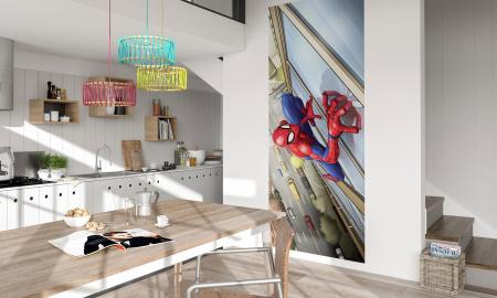 Komar 037-DVD1 (Spider-Man Climber)