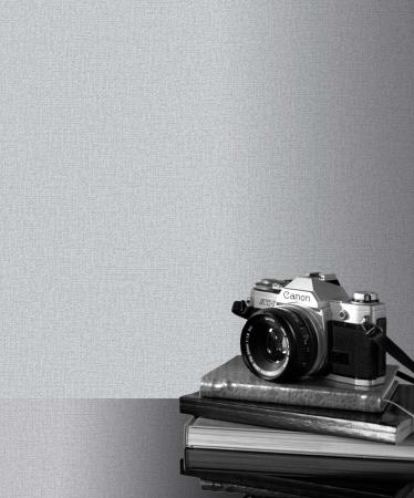 Фото – обои Rasch Modern Art 309409 || Rasch Modern Art 309409