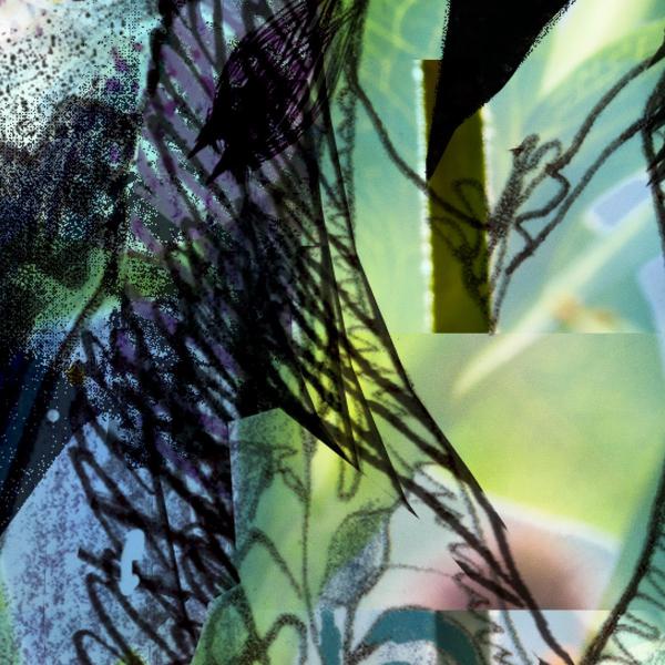 Komar 4-915 (Aphrodite's Garden)