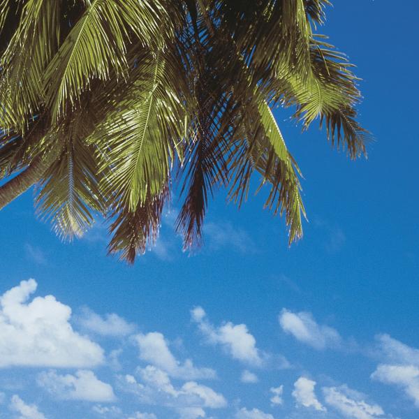 Komar 8-240 (Maldives)