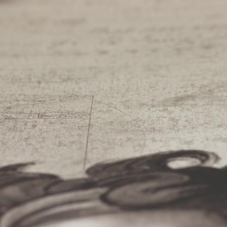 Фото – обои A.S.Creation Simply Decor 33534-1 || A.S.Creation Simply Decor 33534-1