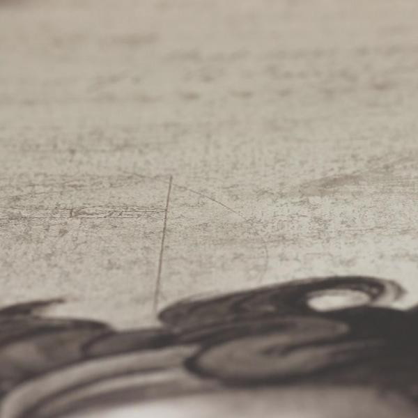 Фото A.S.Creation Simply Decor 33534-1