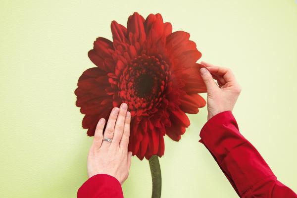 Komar 17011h (Gerbera)