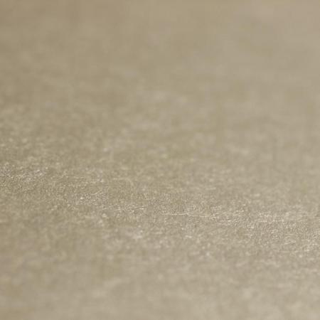 Фото – обои Rasch Emilia 501124 || Rasch Emilia 501124