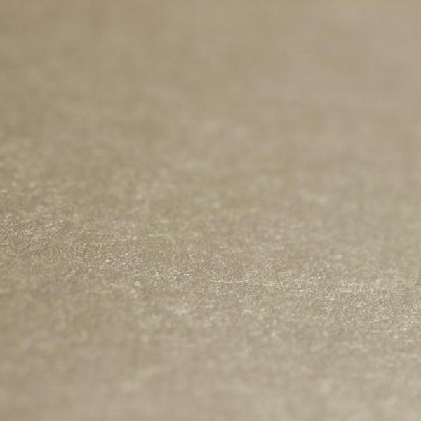 Фото Rasch Emilia 501124