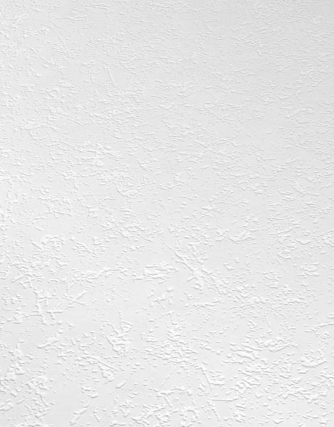 Фото Erismann RollOver 5385-10 (5385-01)