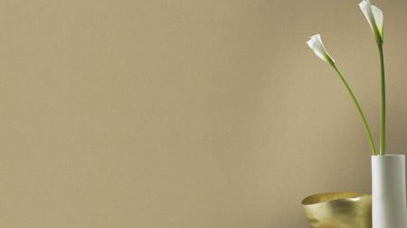 Фото – обои Rasch Freundin III 441659 || Rasch Freundin III 441659