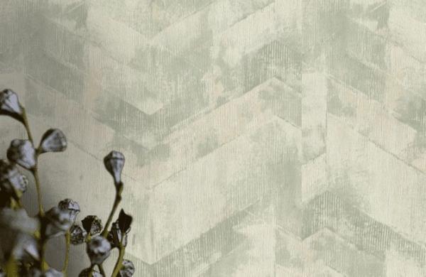 Фото Rasch Axiom 959819