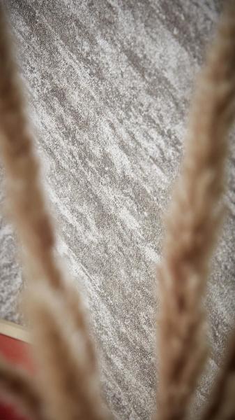 Фото Rasch Linares 617528