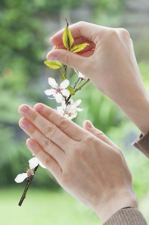 Komar 16006 (Cheerful)