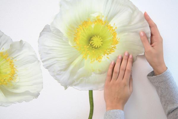 Komar 17022h (Pavot Blanc)