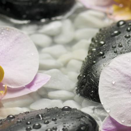 Komar 4-318 (Wellness)