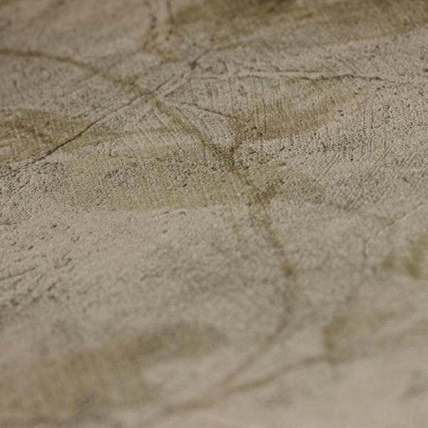 Фото A.S.Creation New Look 32447-5