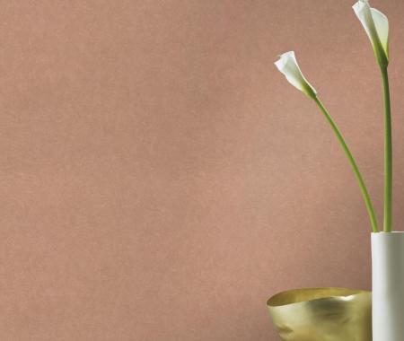 Фото – обои Rasch B.B Home Passion 6 860146 || Rasch B.B Home Passion 6 860146