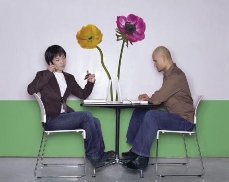 Komar 17012h (Anemone)