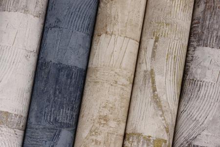 Фото – обои Rasch Composition 554762 || Rasch Composition 554762