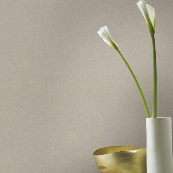 Фото Rasch Crispy Paper 527056