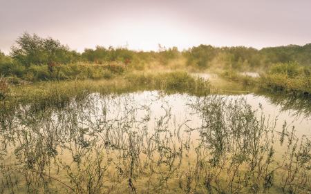 Komar SH065-VD4 (Morning View II)