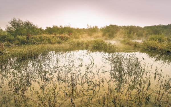 Komar SH065-VD4 (Morning View II)