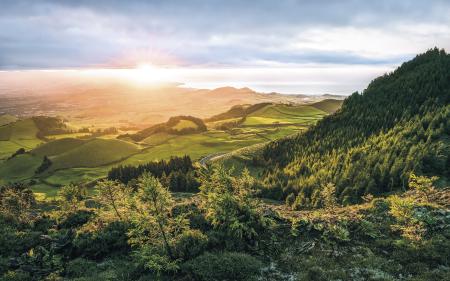 Komar SH071-VD4 (Paradise Island)