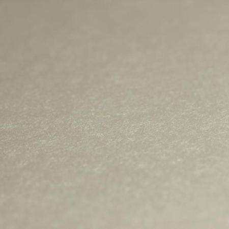 Фото – обои Rasch Emilia 501117 || Rasch Emilia 501117