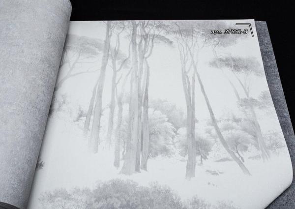 Фото A.S.Creation History of Art 37651-3