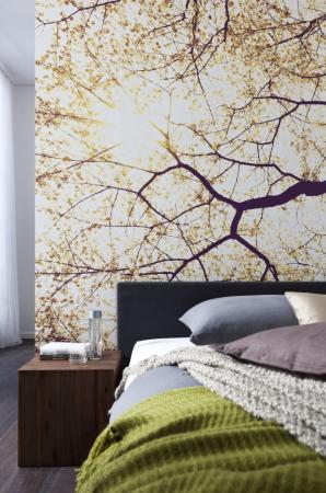 Komar V5-752 (Sunshine)