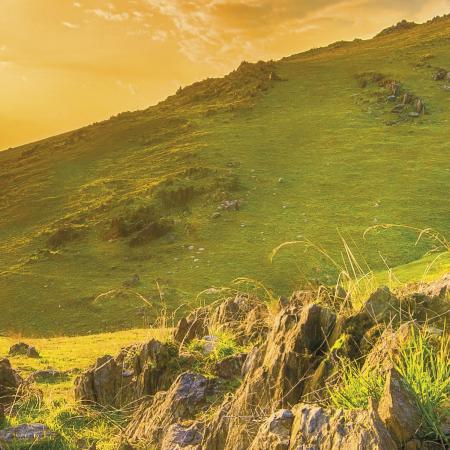 Komar 8-525 (Mountain Morning)