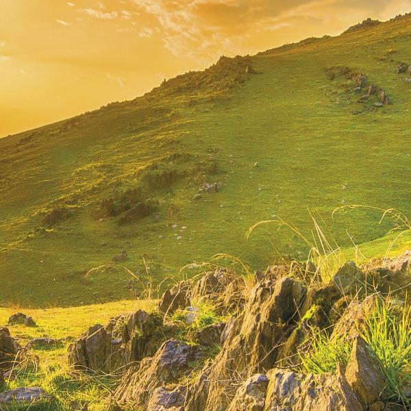 Komar 8-525 (Mountain Morning)